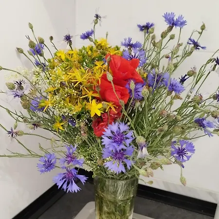 24h Self Check-in Lotnisko Samodzielne Zameldowanie Blisko Stadion Targi Szpitale I Uczelnie Apartament *