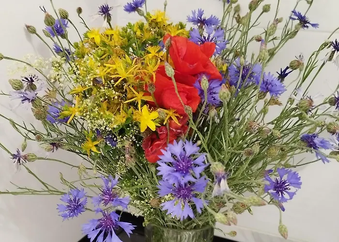 24h Self Check-in Lotnisko Blisko Stadion Targi Szpitale I Uczelnie 아파트 *